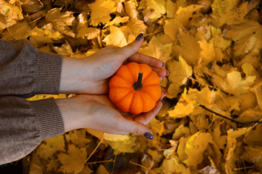 October 2026 horoscope image is a small pumpkin held by someone with both hands. the background has yellow leaves