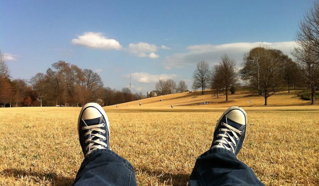 stock photo of a two legs wearing sneakers. They appear to be sitting on dry yellow grass overlooking a long field