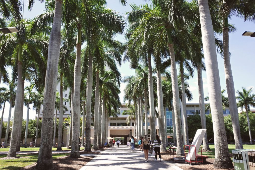 wide view of a college building with palm trees lined up on each side of the path.